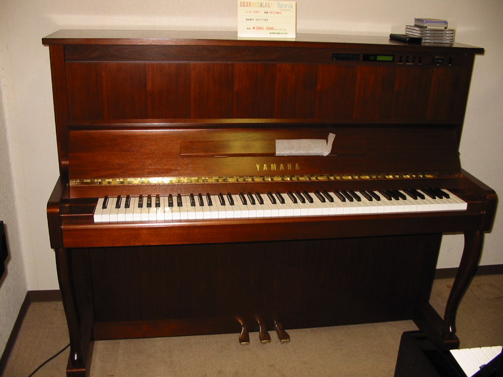 kawai2